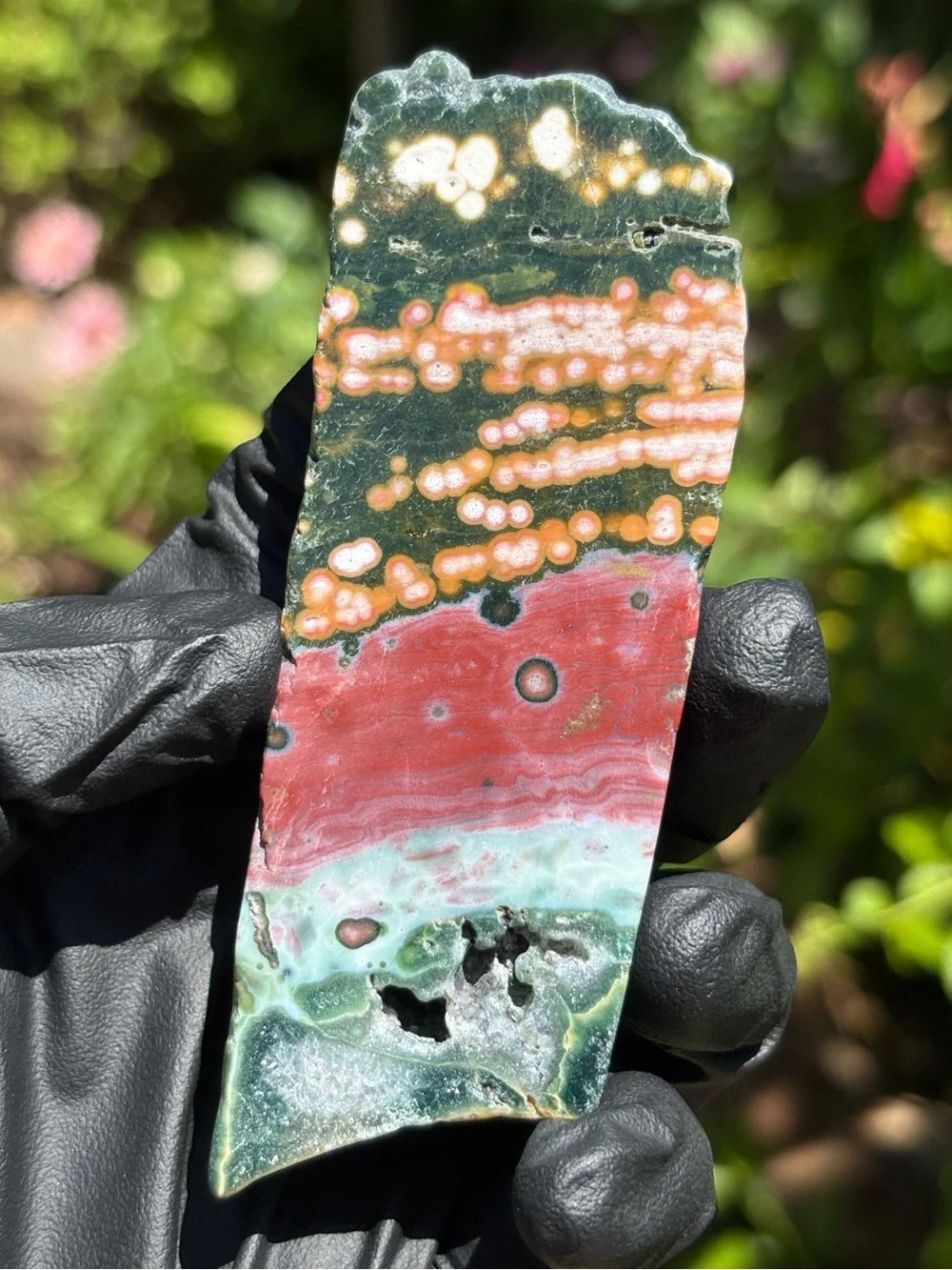 Colorful Ocean Jasper Slab - Druzy Sea Jasper - Polished Orbicular Jasper